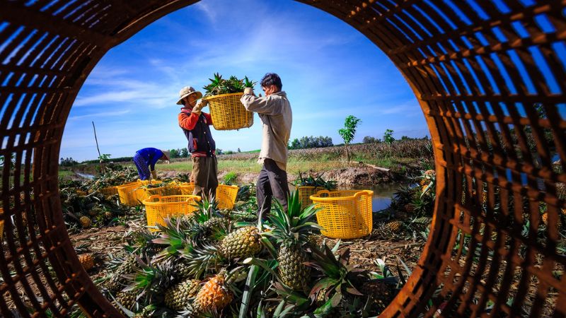 Địa điểm Chụp Ảnh Tour Team building Gala Dinner Vị Thanh Hậu Giang giá rẻ chất (1)